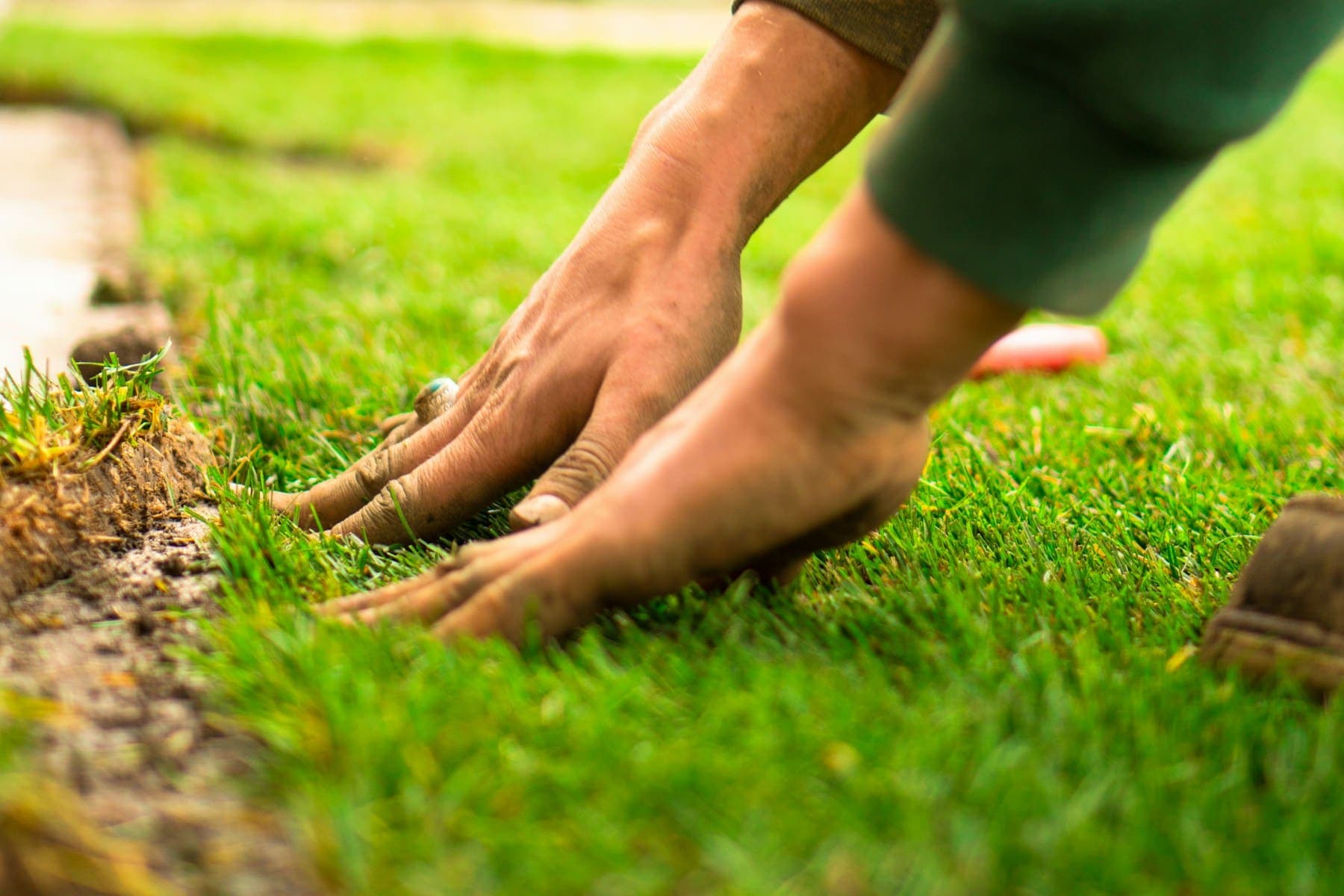Hands pressing fresh turf into place