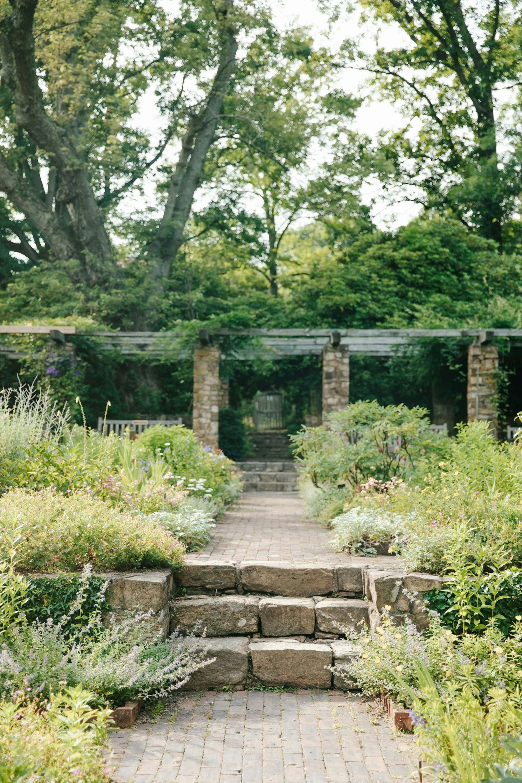 Stone path leading to a planted pergola