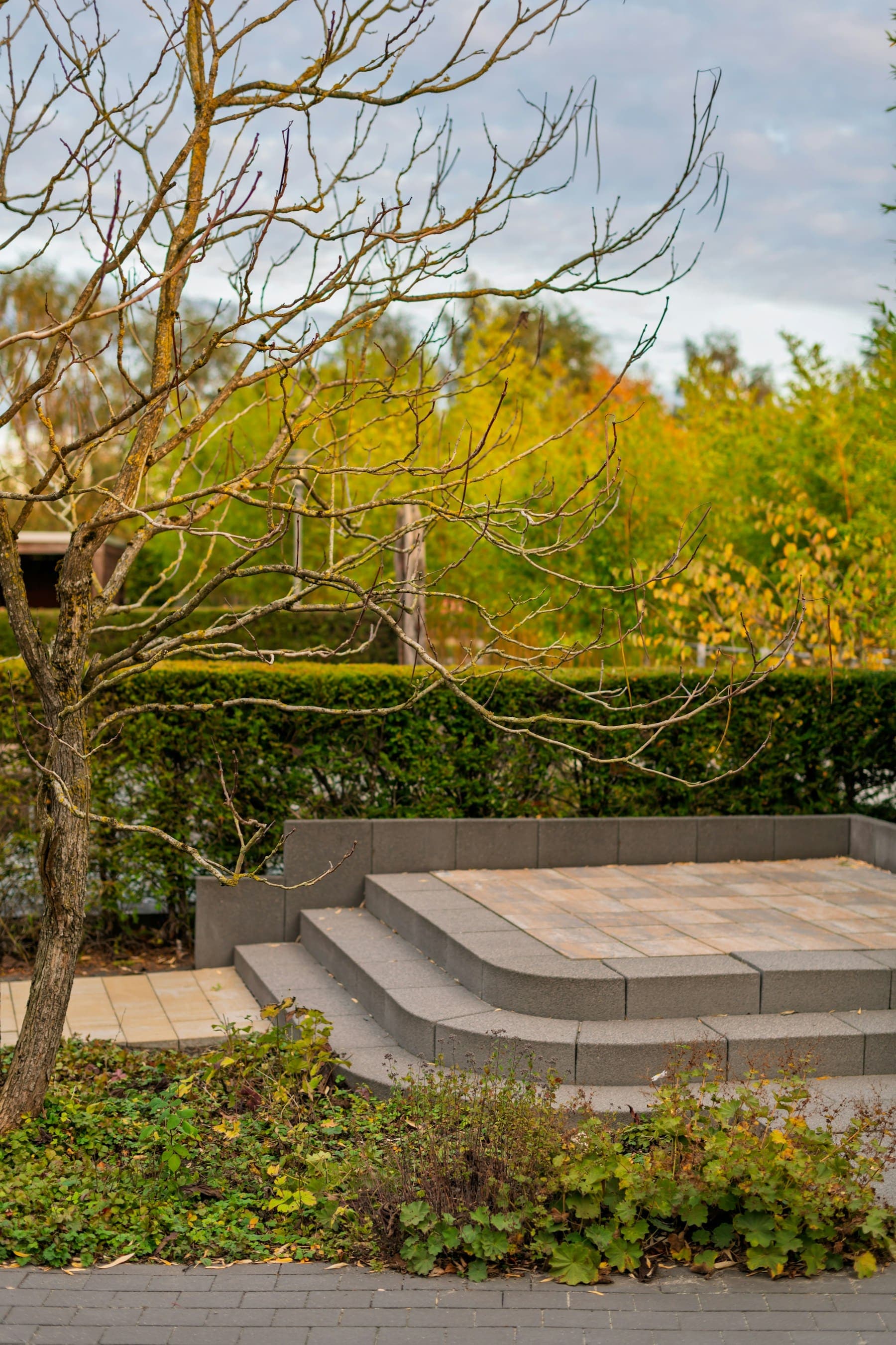 Curved stone steps leading up to a paved patio